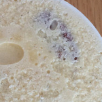 [IMAGE: butter pecan]